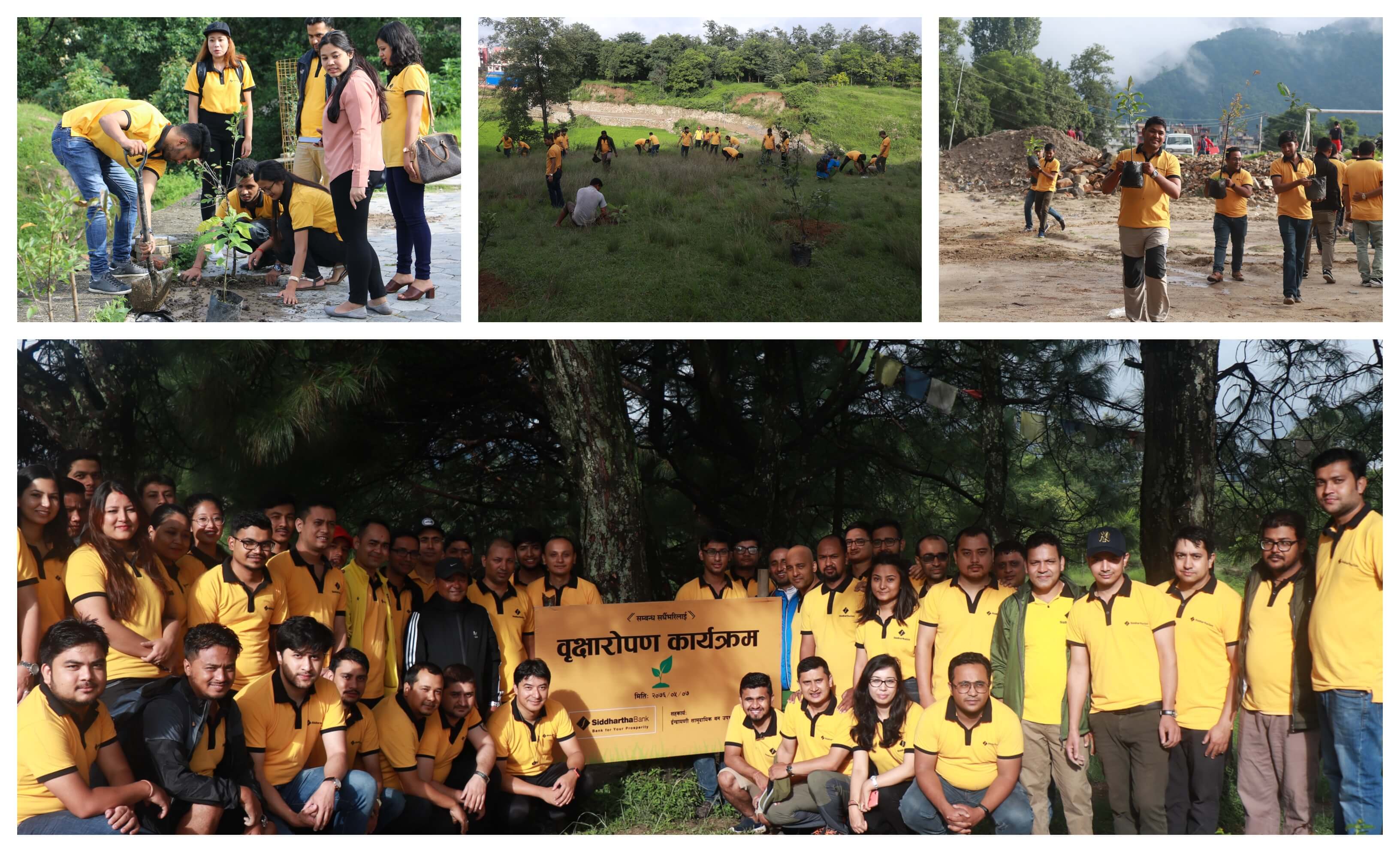 Fruit Tree Plantation at Tokha